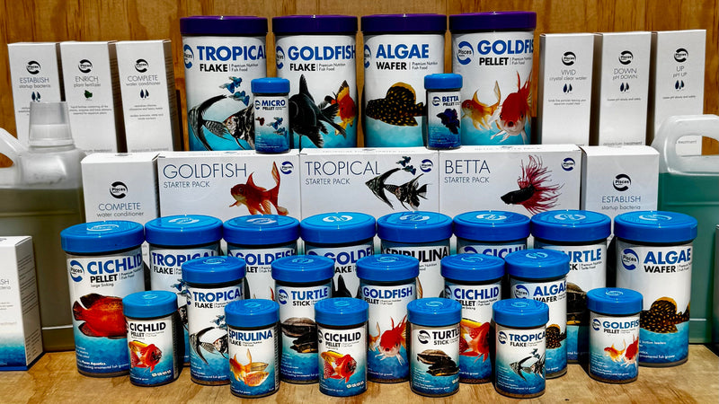 Fish Food and Water Treatments