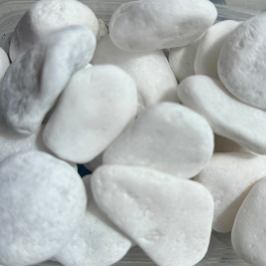 Natural White Stones 1kg - Jurassic Natural