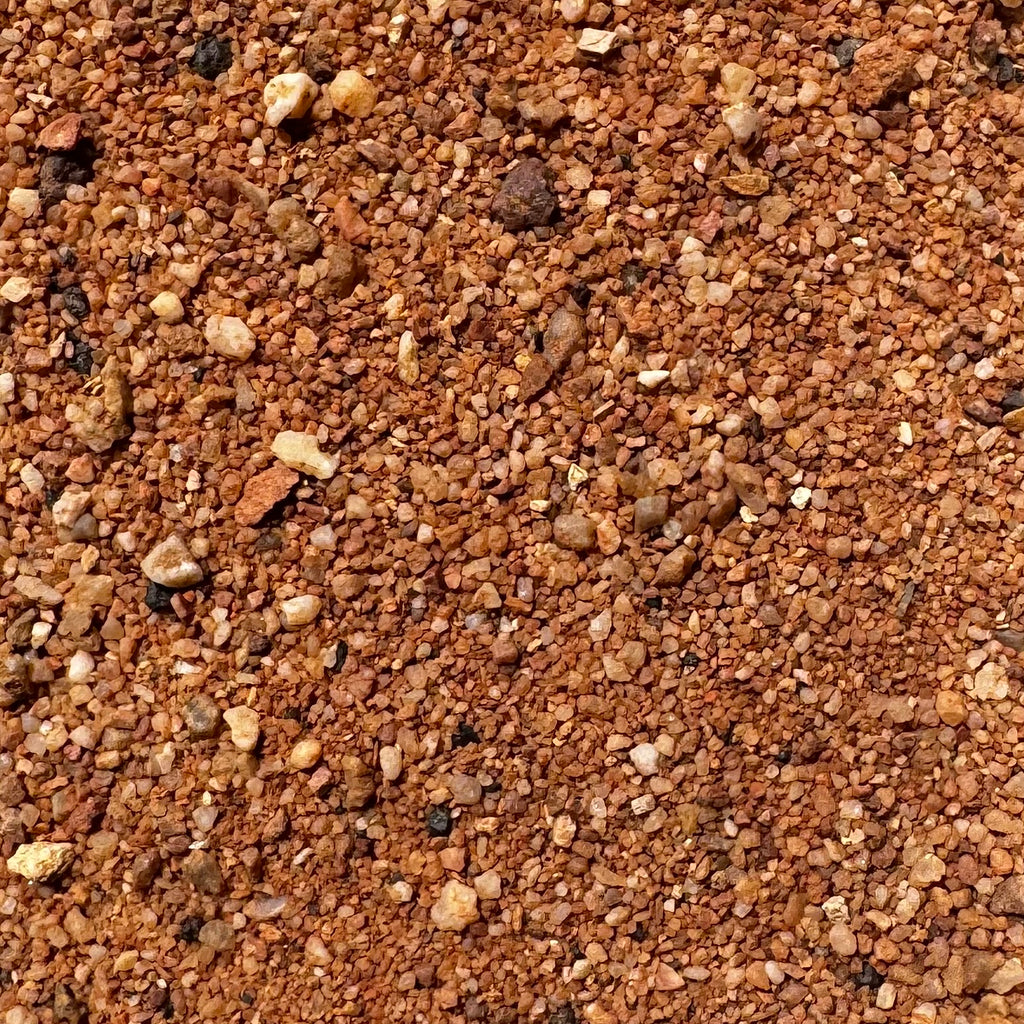 Australian Desert Habitat Red Sand - Jurassic Natural
