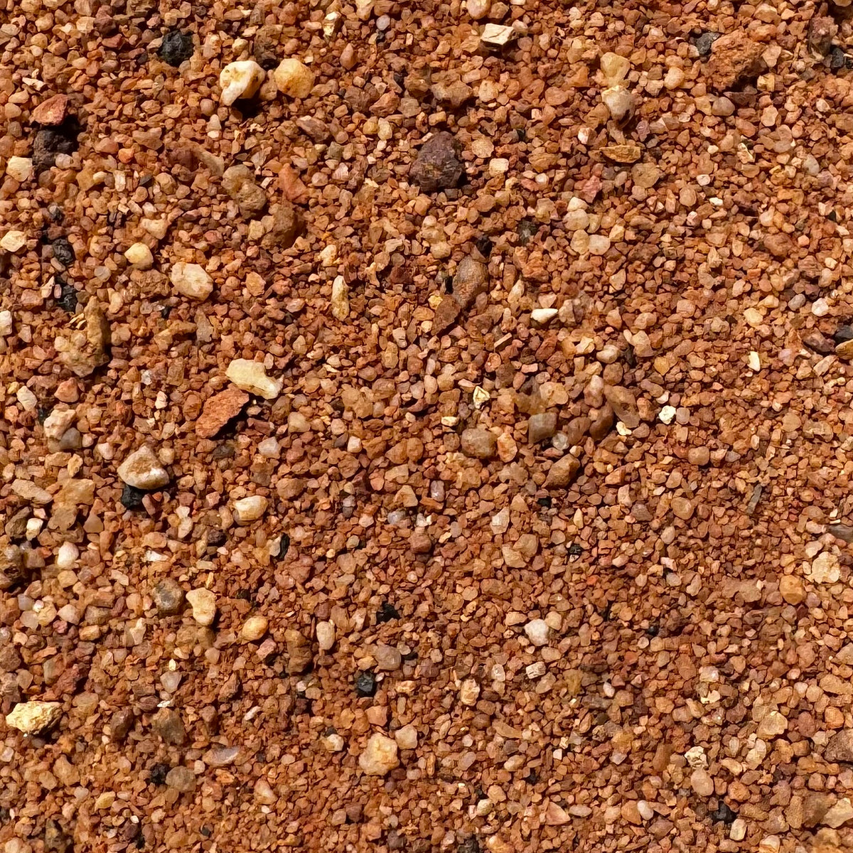 Australian Desert Habitat Red Sand - Jurassic Natural