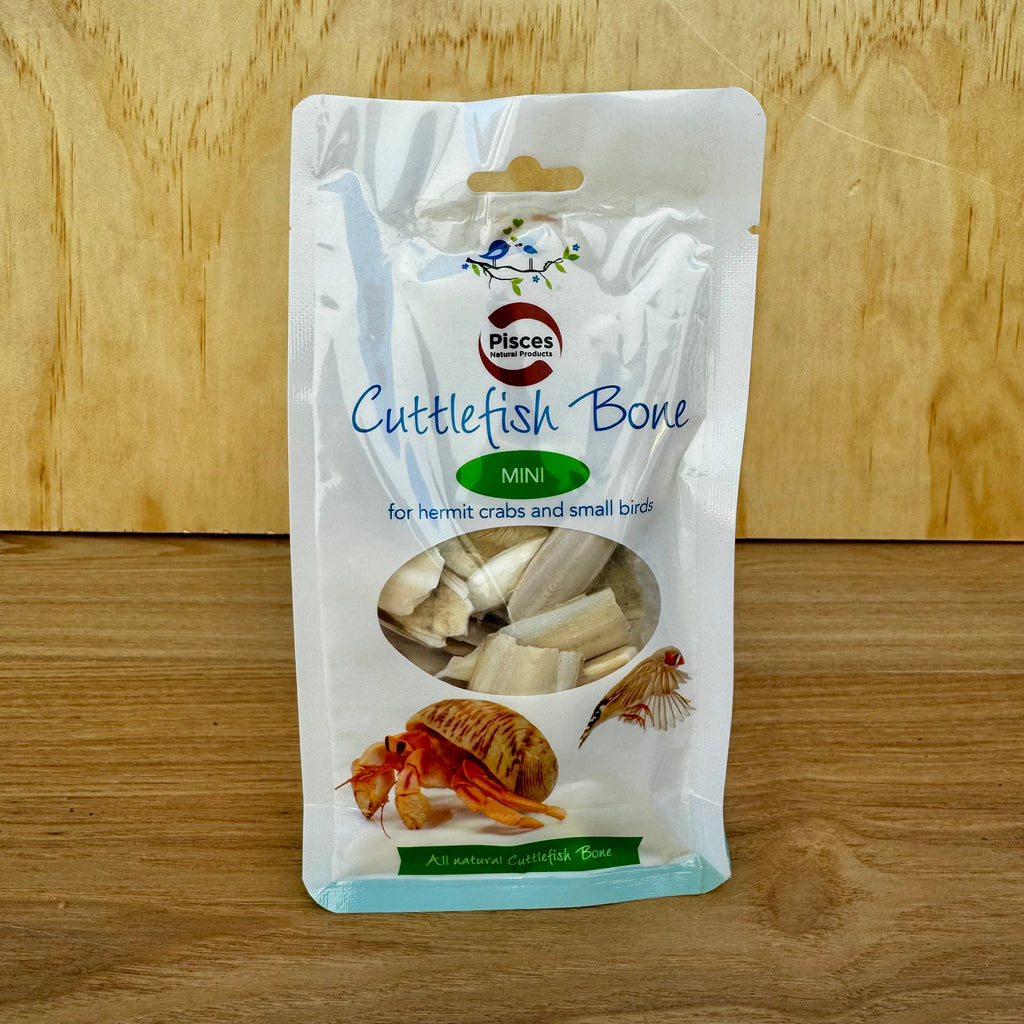 Mini Cuttlefish Bone Calcium Supplement - Tank Terrarium Australia Bird Natural