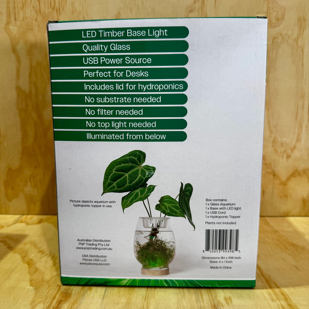 Shrimp & Moss Plant Pod Aquarium - Tank Terrarium Australia Plant Pod