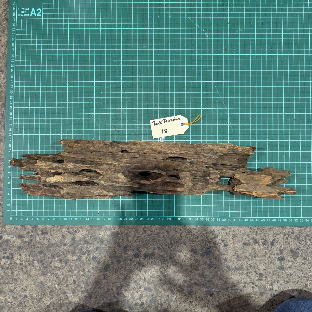 Wood 18 - Honeycomb Driftwood Large - One Only - Tank Terrarium Australia Woods