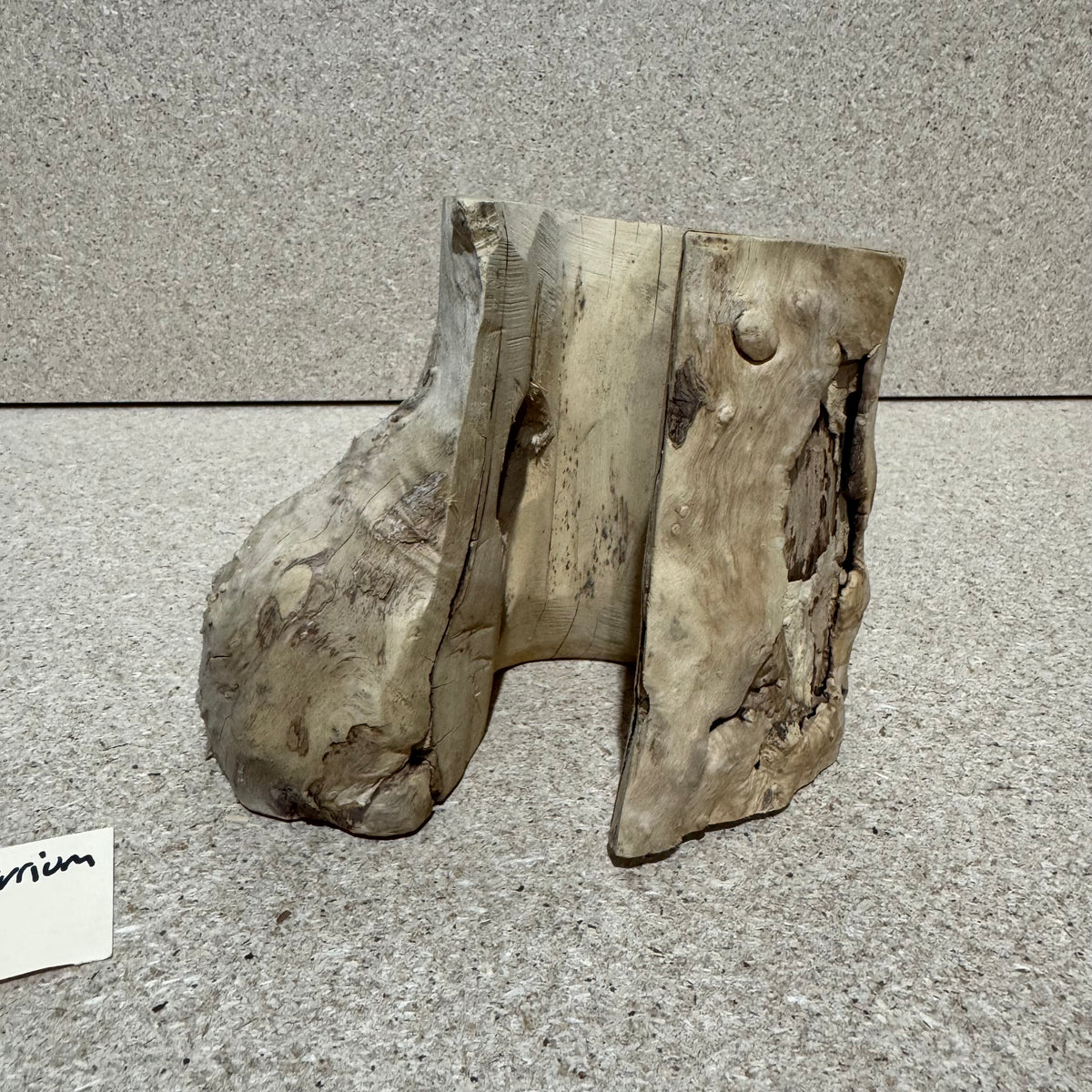 Wood 35 - Coffeewood Reptile Hide - Small - One Only