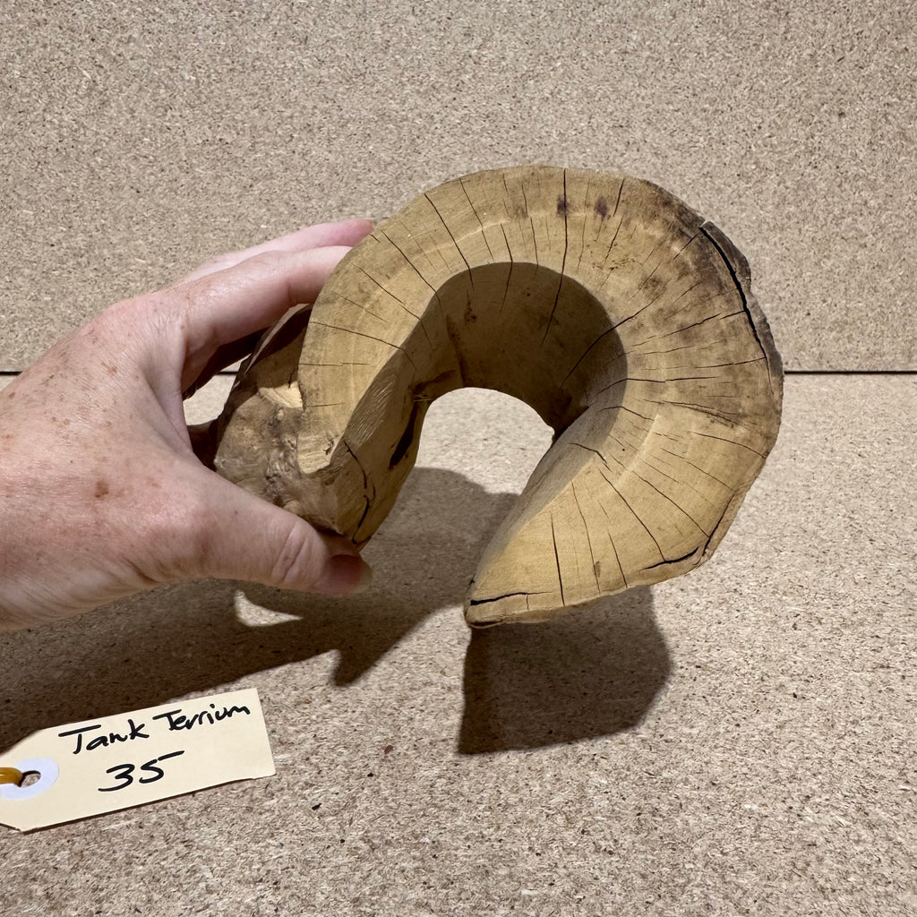 Wood 35 - Coffeewood Reptile Hide - Small - One Only