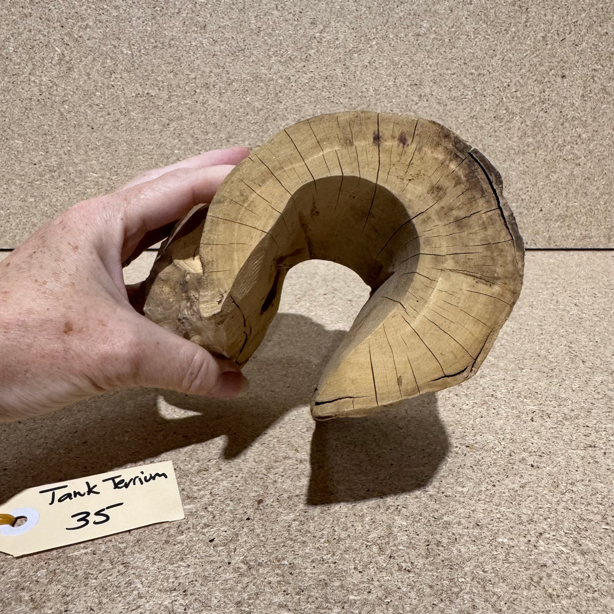 Wood 35 - Coffeewood Reptile Hide - Small - One Only