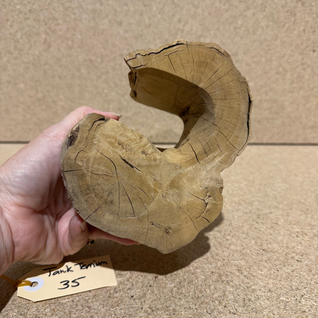 Wood 35 - Coffeewood Reptile Hide - Small - One Only