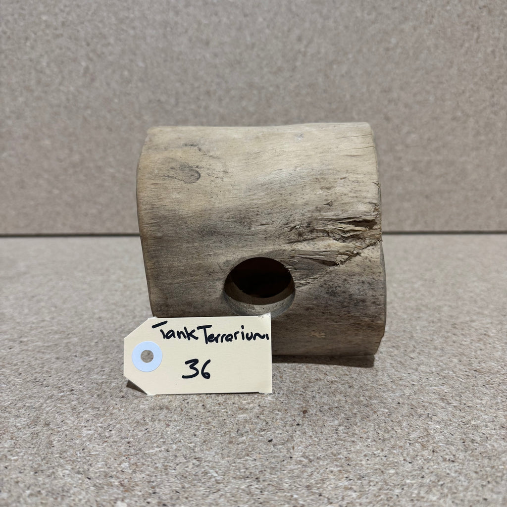 Wood 36 - Coffeewood Reptile Hide - Small - One Only