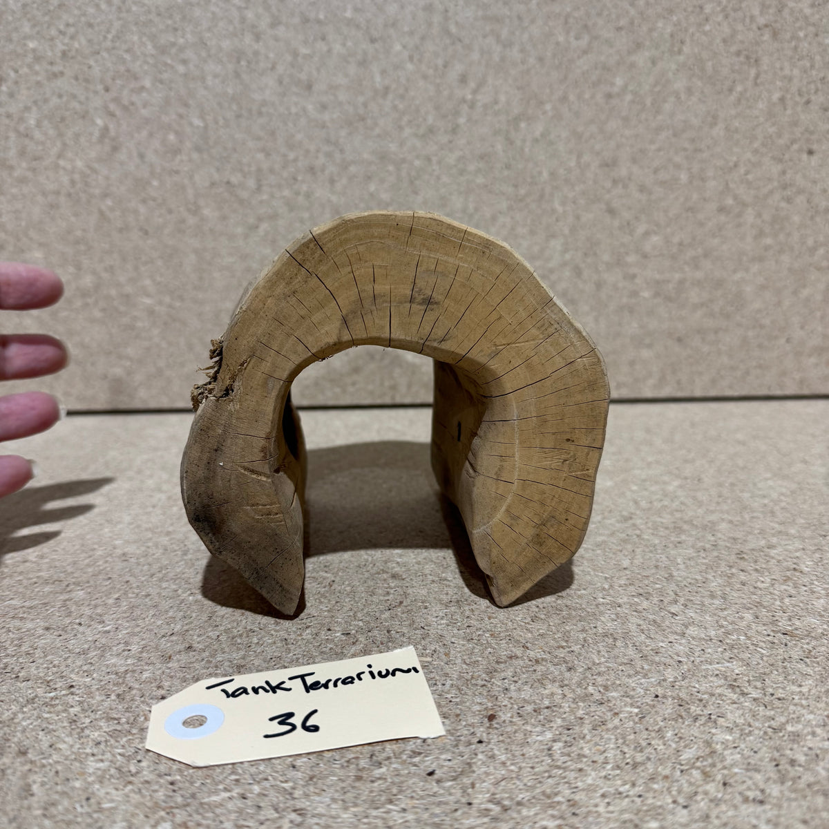 Wood 36 - Coffeewood Reptile Hide - Small - One Only