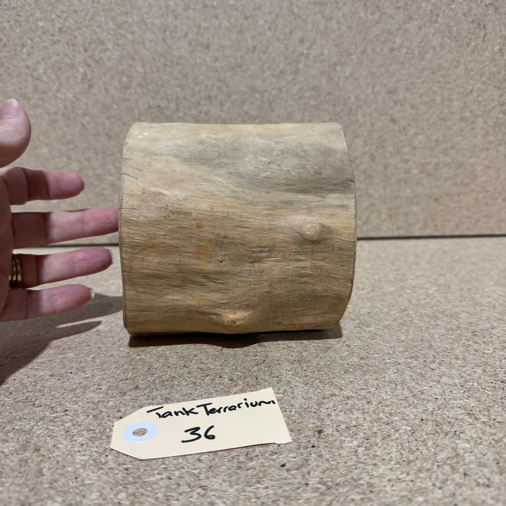 Wood 36 - Coffeewood Reptile Hide - Small - One Only