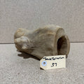 Wood 37 - Coffeewood Reptile Hide - Medium - One Only