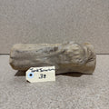 Wood 38 - Coffeewood Reptile Hide - Medium - One Only