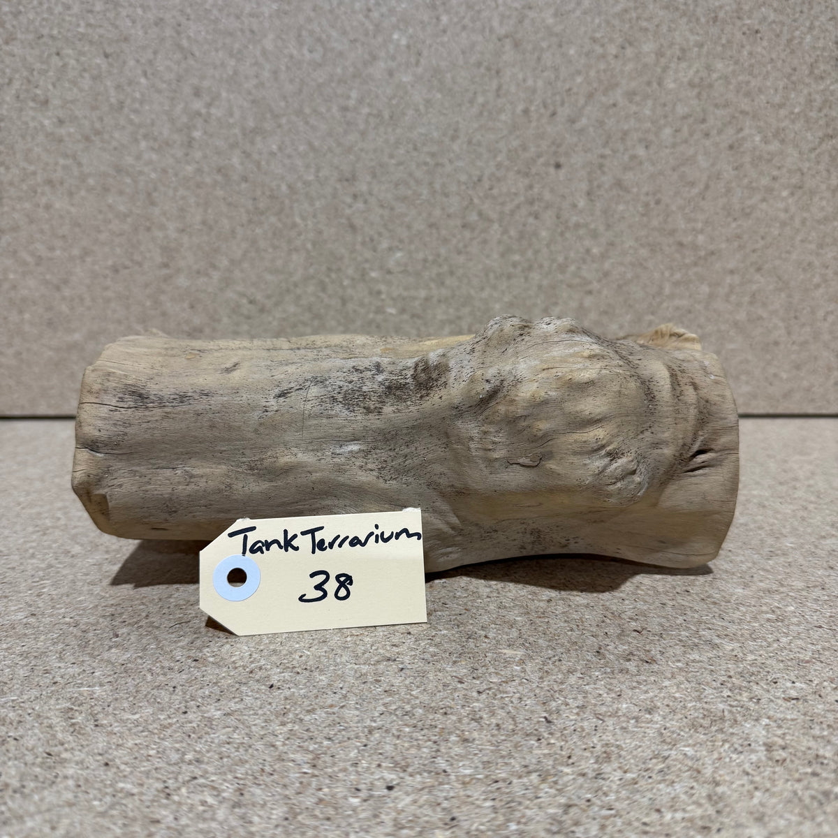 Wood 38 - Coffeewood Reptile Hide - Medium - One Only