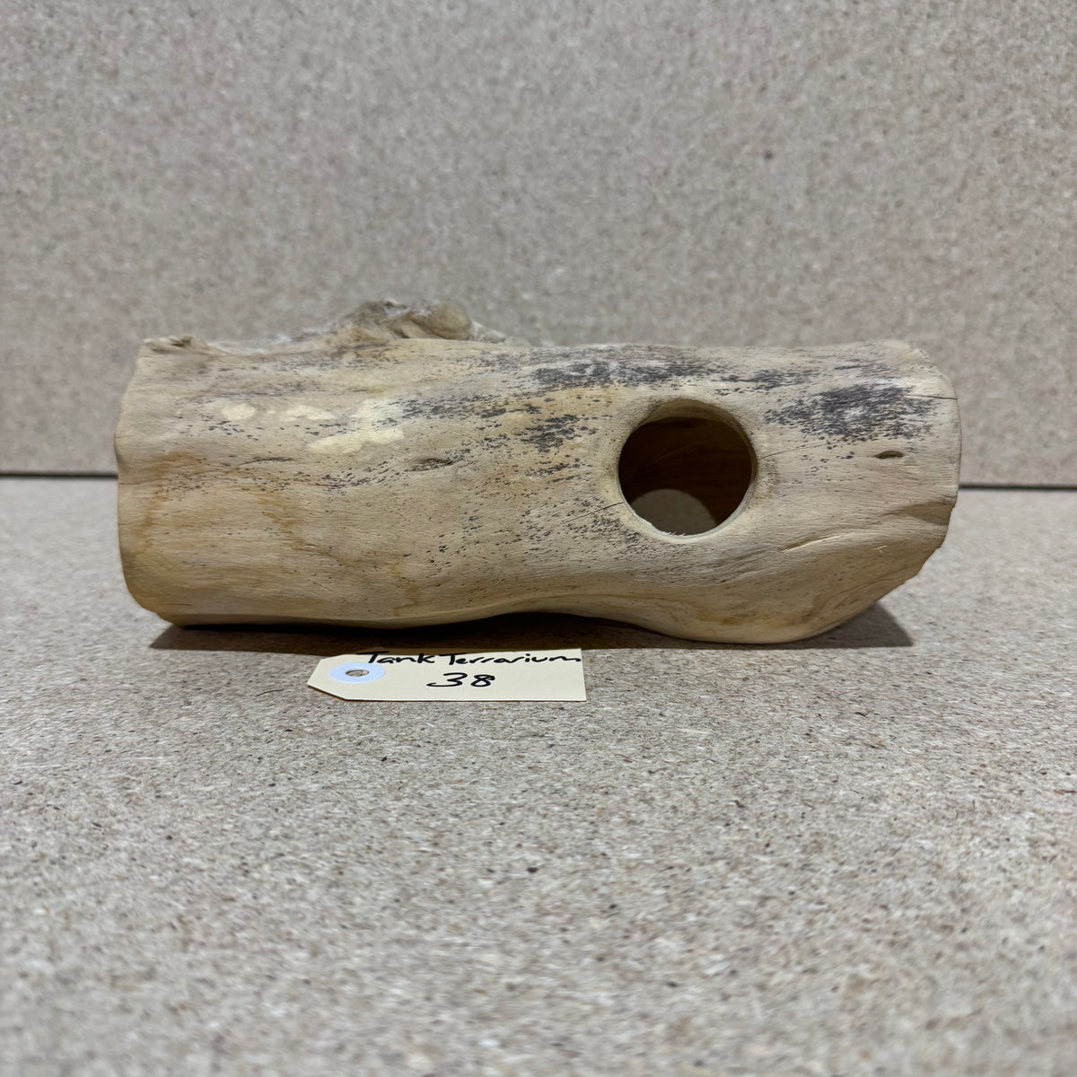 Wood 38 - Coffeewood Reptile Hide - Medium - One Only