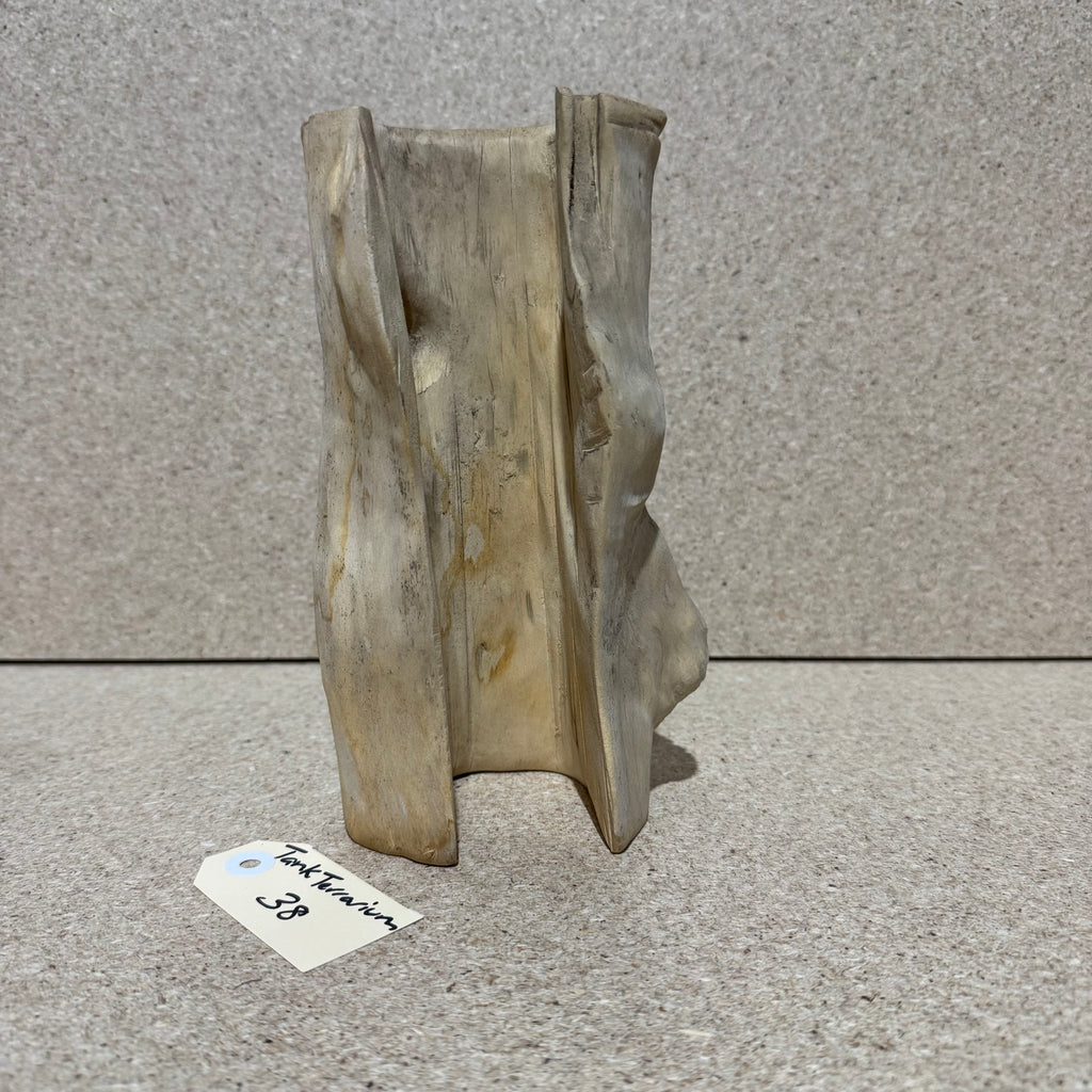 Wood 38 - Coffeewood Reptile Hide - Medium - One Only
