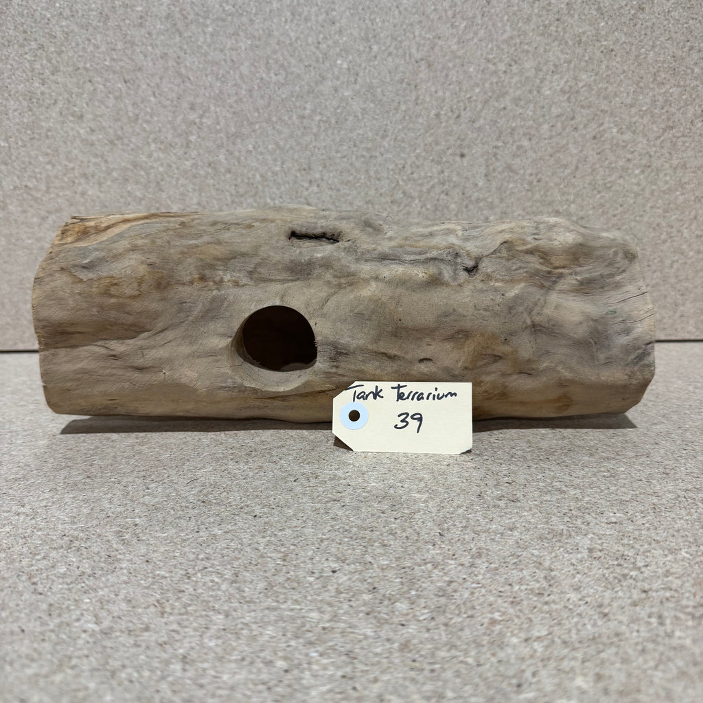 Wood 39 - Coffeewood Reptile Hide - Large - One Only