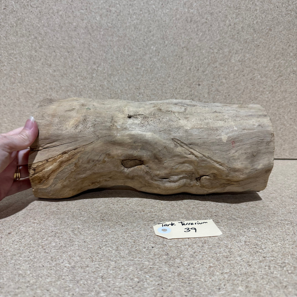 Wood 39 - Coffeewood Reptile Hide - Large - One Only