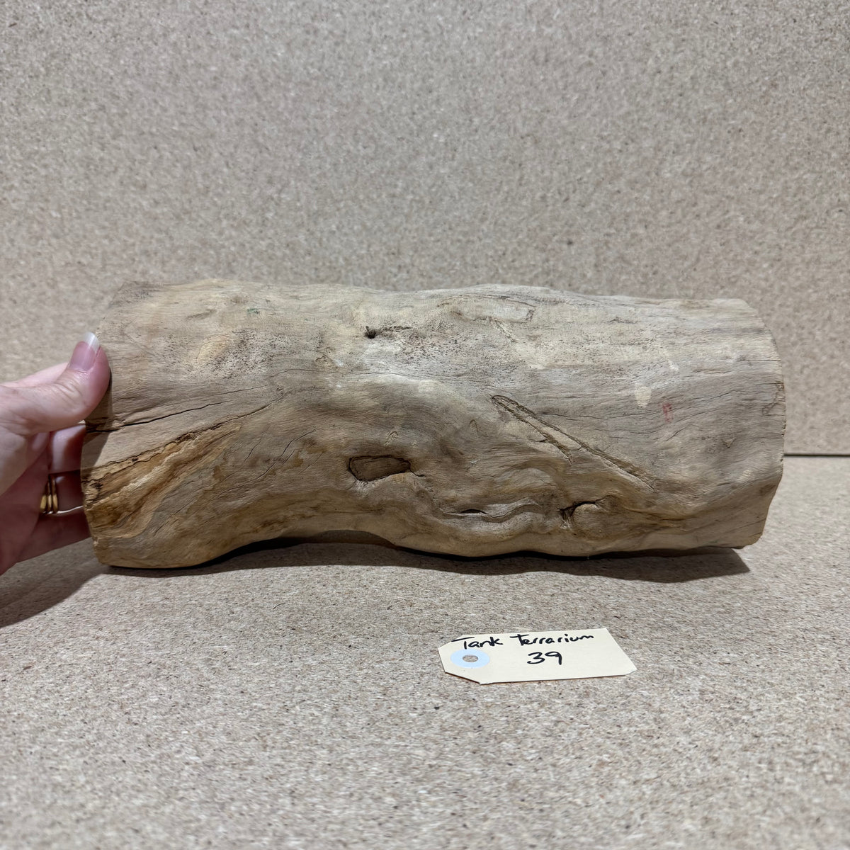 Wood 39 - Coffeewood Reptile Hide - Large - One Only