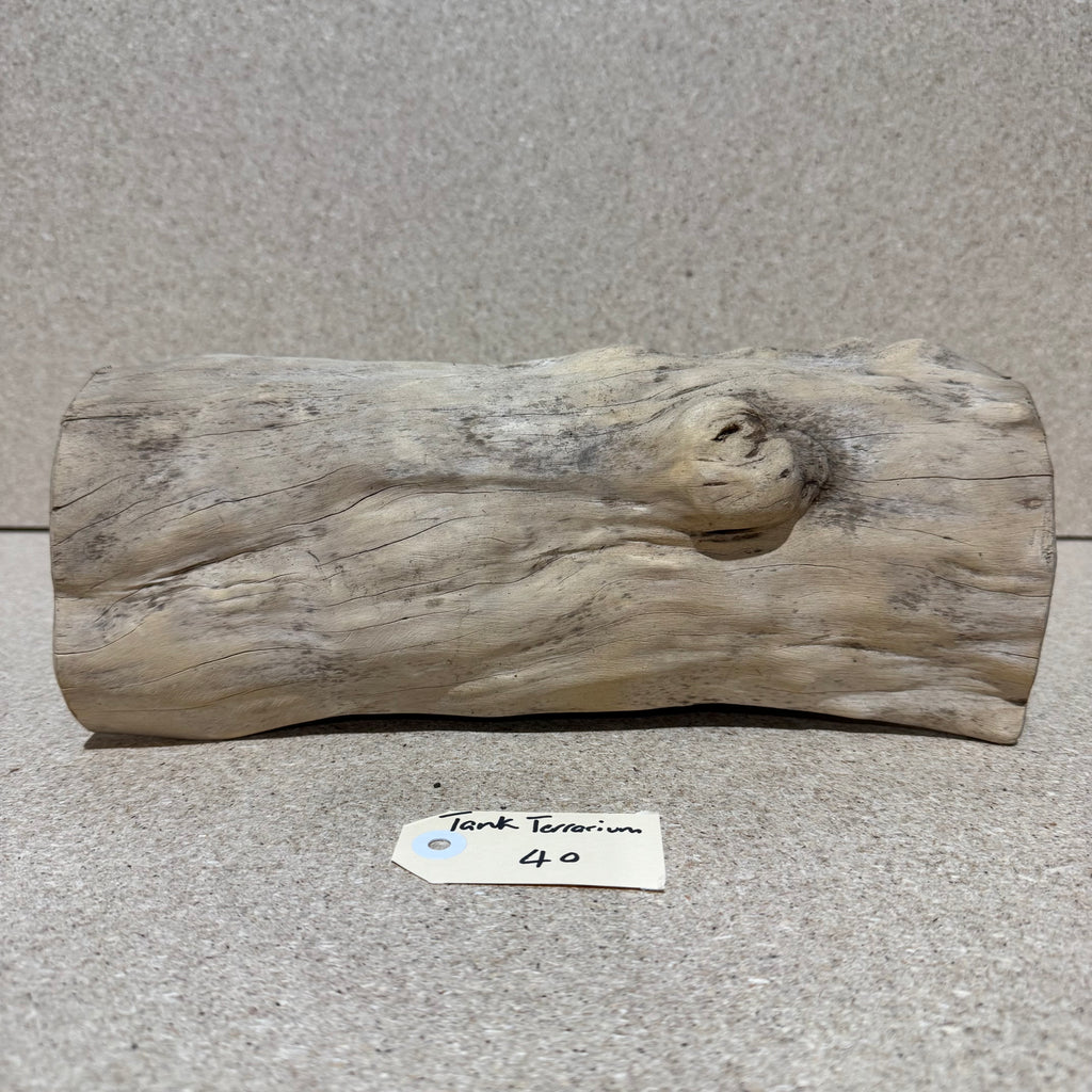 Wood 40 - Coffeewood Reptile Hide - Large - One Only