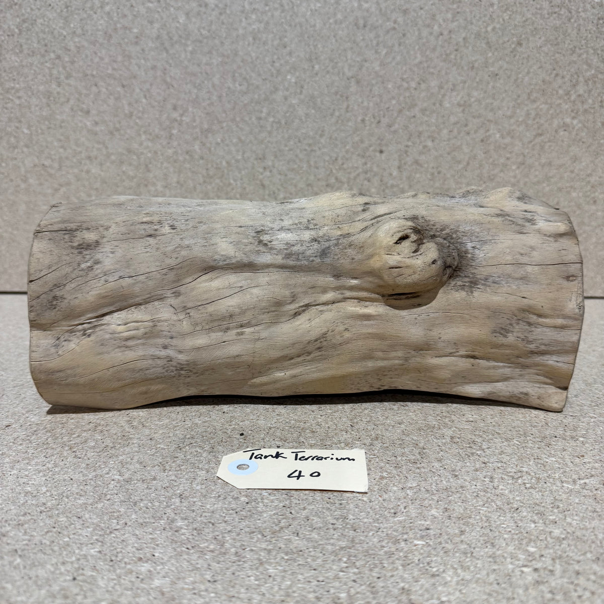 Wood 40 - Coffeewood Reptile Hide - Large - One Only