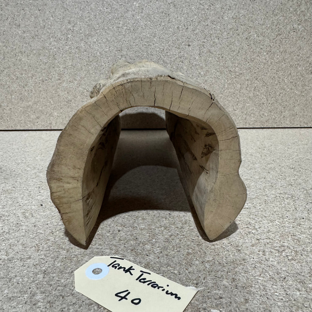 Wood 40 - Coffeewood Reptile Hide - Large - One Only