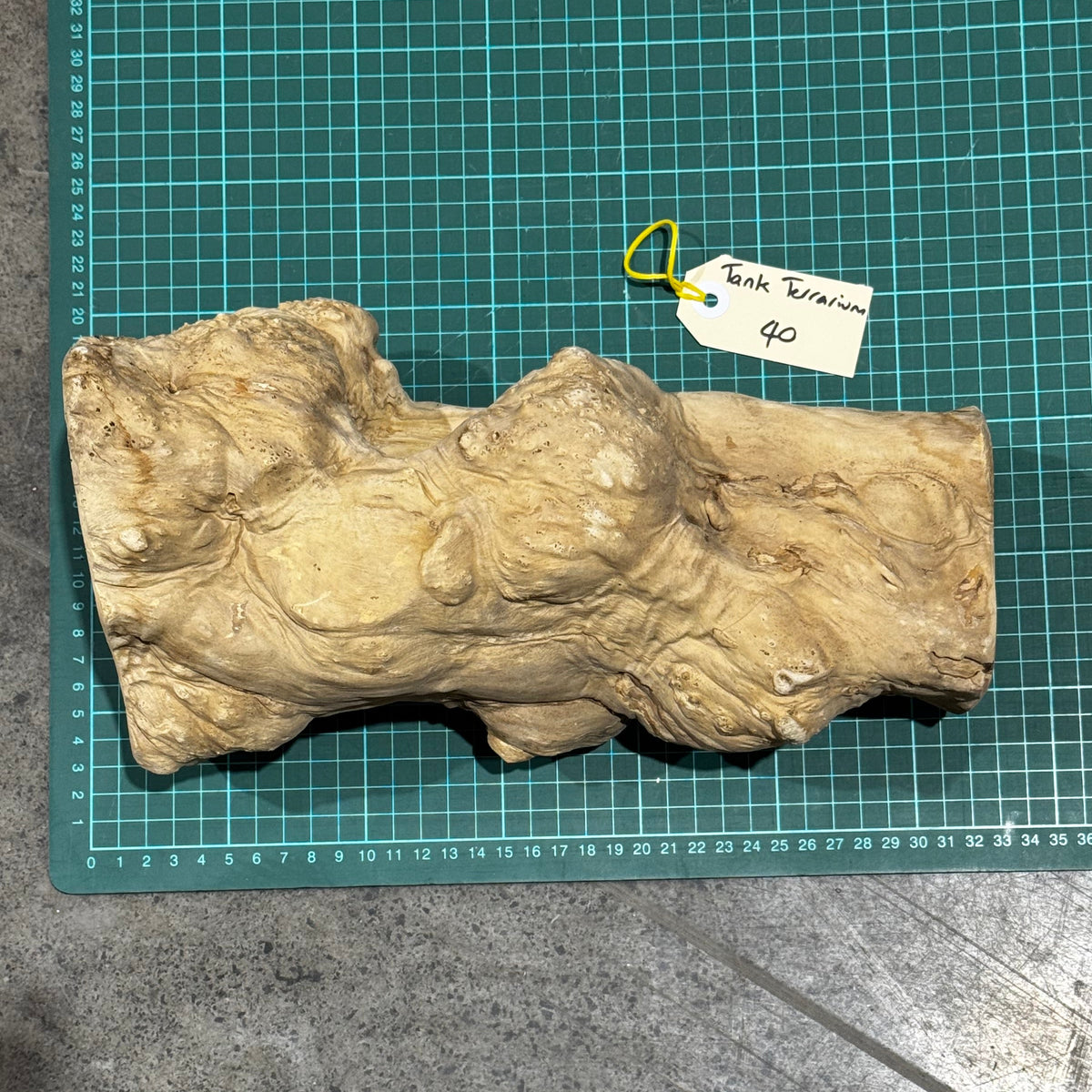 A piece of natural beige wood bark or branch with rough, textured nodes, placed on a green cutting mat with a small white tag attached.