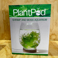 Shrimp & Moss Plant Pod Aquarium - Tank Terrarium Australia Plant Pod
