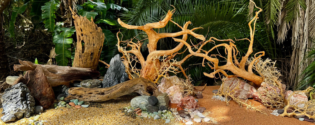 A tropical aquarium or pond setup featuring natural driftwood, rocks, sand, and lush green palm foliage in the background.