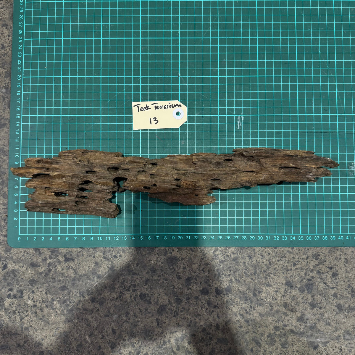 Wood 13 - Honeycomb Driftwood Small - One Only - Tank Terrarium Australia Woods