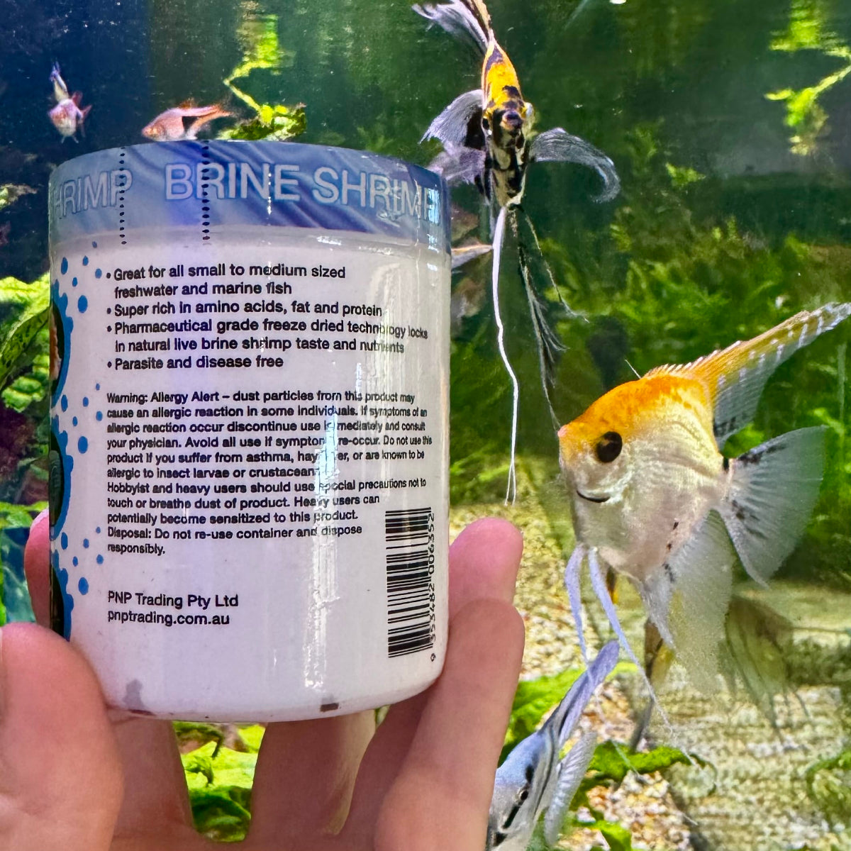 Freeze Dried Brine Shrimp - Aqua Natural Fish Food - Tank Terrarium Australia Fish Food