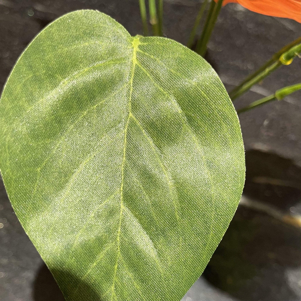 Artificial Anthurium Bush 29cm - Komodo - Tank Terrarium Australia Artificial Plant