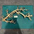 Wood 5 - Coral Wood Large - One Only - Tank Terrarium Australia Woods