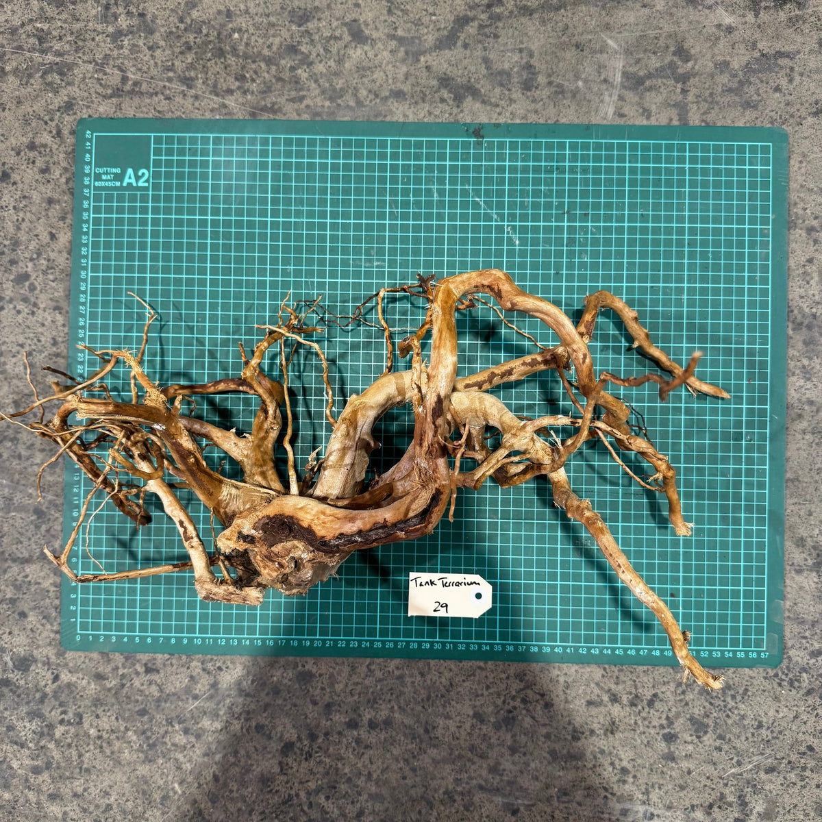 Wood 29 - Gold Vine Driftwood Large - One Only - Tank Terrarium Australia Woods
