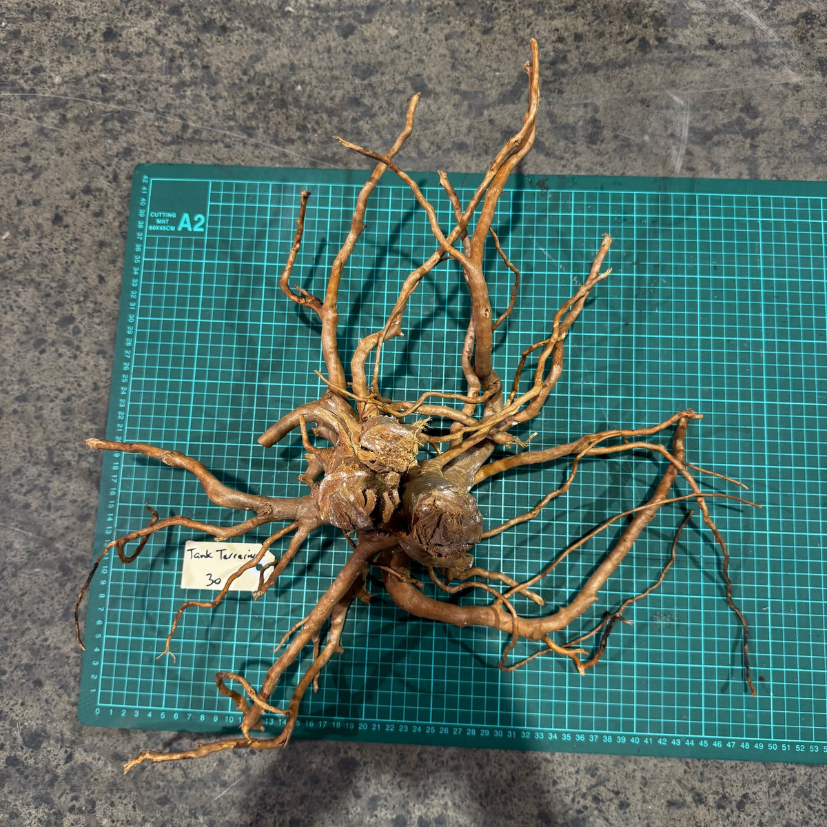 Wood 30 - Gold Vine Driftwood Large - One Only - Tank Terrarium Australia Woods