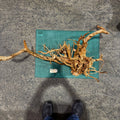 Wood 32 - Gold Vine Driftwood Magnificent - One Only - Tank Terrarium Australia Woods