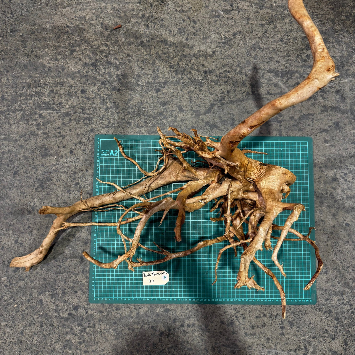Wood 32 - Gold Vine Driftwood Magnificent - One Only - Tank Terrarium Australia Woods