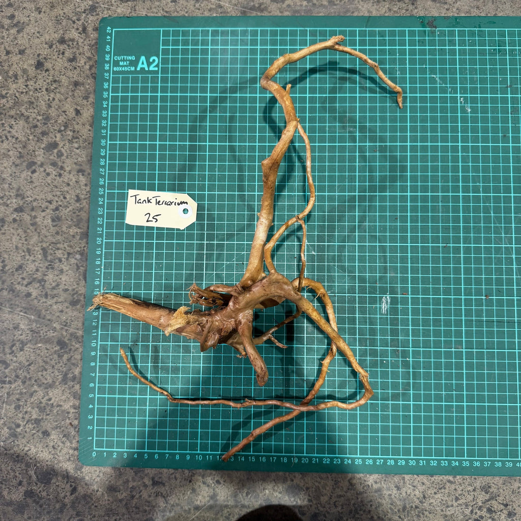Wood 25 - Gold Vine Driftwood Small - One Only - Tank Terrarium Australia Woods