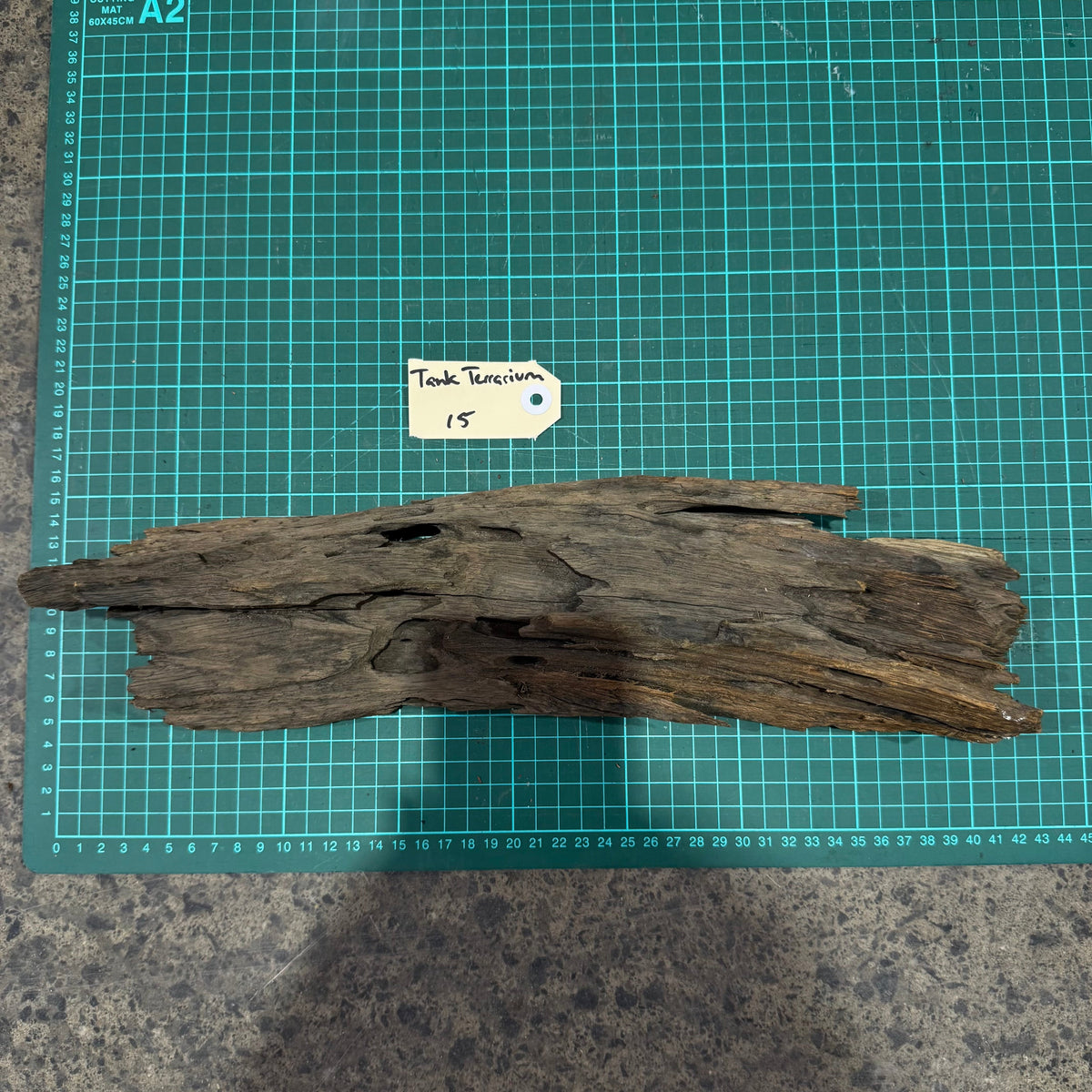 Wood 15 - Honeycomb Driftwood Medium - One Only - Tank Terrarium Australia Woods