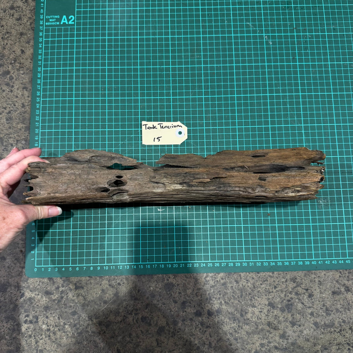 Wood 16 - Honeycomb Driftwood Medium - One Only - Tank Terrarium Australia Woods