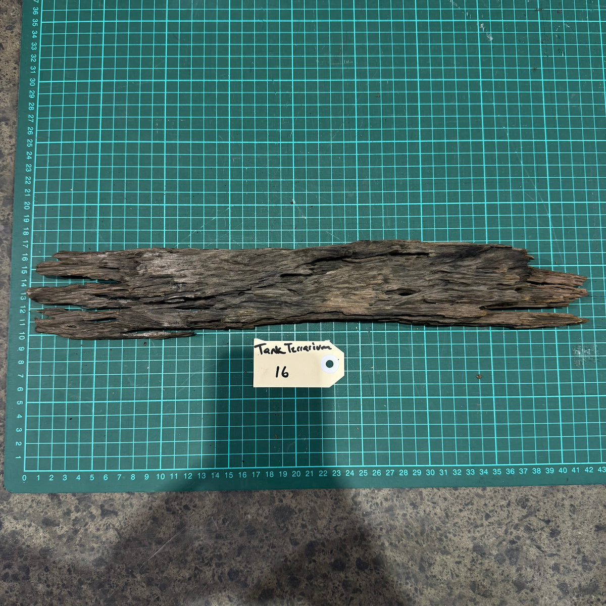 Wood 16 - Honeycomb Driftwood Medium - One Only - Tank Terrarium Australia Woods