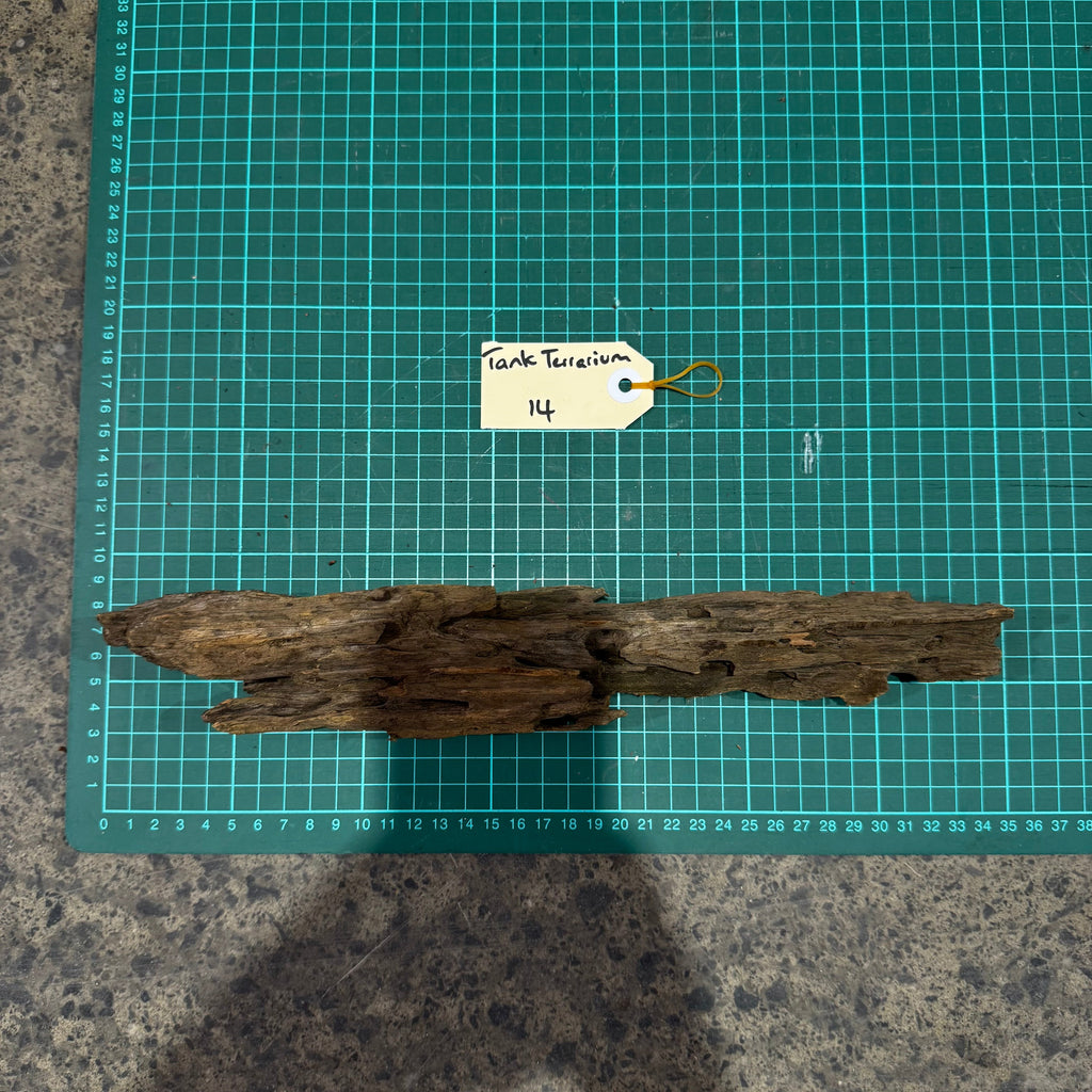 Wood 14 - Honeycomb Driftwood Small - One Only - Tank Terrarium Australia Woods