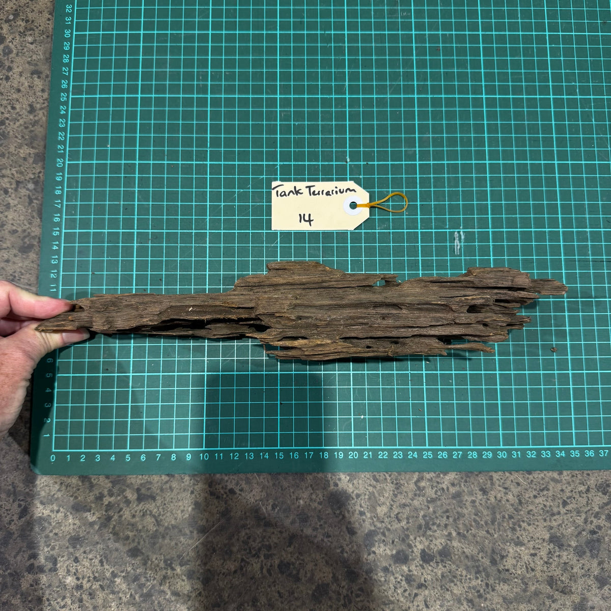 Wood 14 - Honeycomb Driftwood Small - One Only - Tank Terrarium Australia Woods