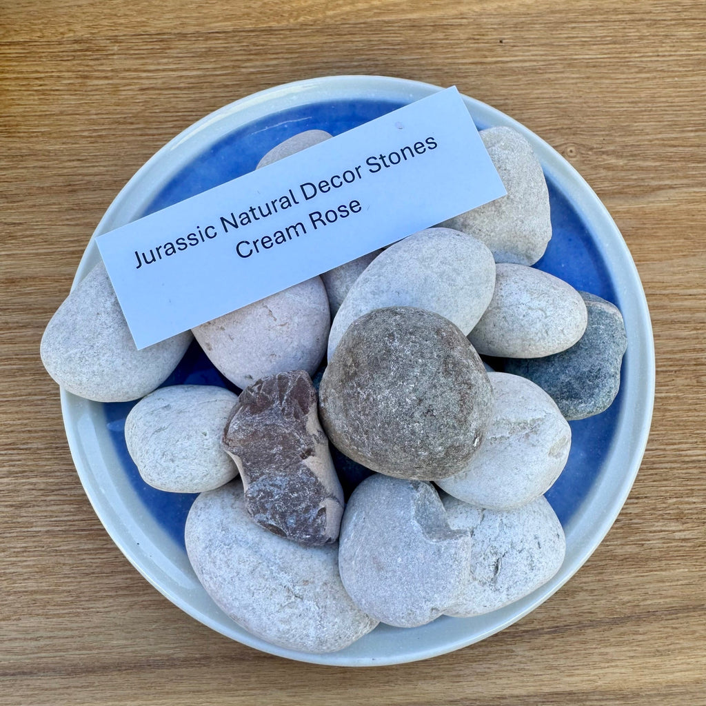 Natural Cream Rose Stones 1kg - Jurassic Natural - Tank Terrarium Australia Natural Rock