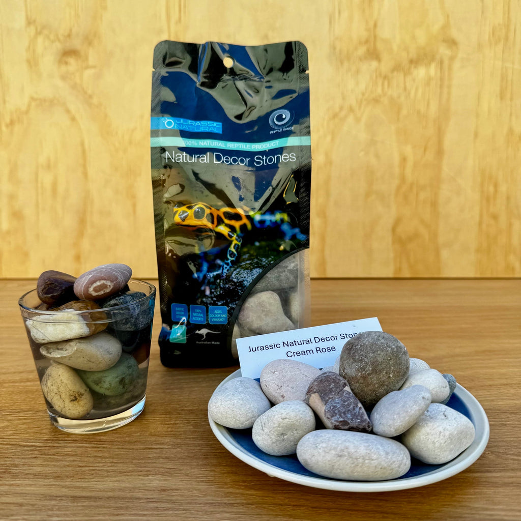 Natural Cream Rose Stones 1kg - Jurassic Natural - Tank Terrarium Australia Natural Rock