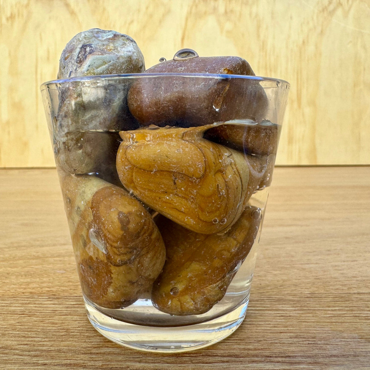 Natural Desert Stones 1kg - Jurassic Natural - Tank Terrarium Australia Natural Rock