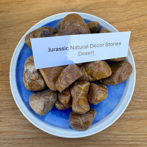 Natural Desert Stones 1kg - Jurassic Natural - Tank Terrarium Australia Natural Rock