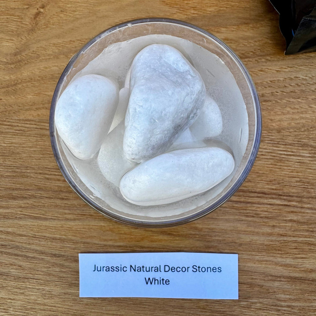 Natural White Stones 1kg - Jurassic Natural - Tank Terrarium Australia Natural Rock
