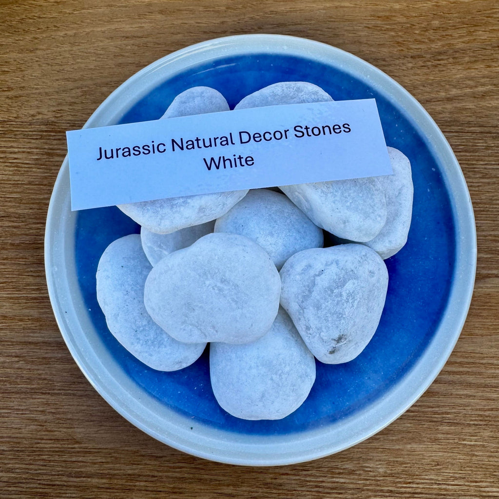 Natural White Stones 1kg - Jurassic Natural - Tank Terrarium Australia Natural Rock