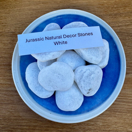 Natural White Stones 1kg - Jurassic Natural - Tank Terrarium Australia Natural Rock
