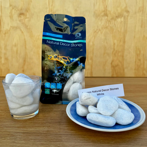 Natural White Stones 1kg - Jurassic Natural - Tank Terrarium Australia Natural Rock